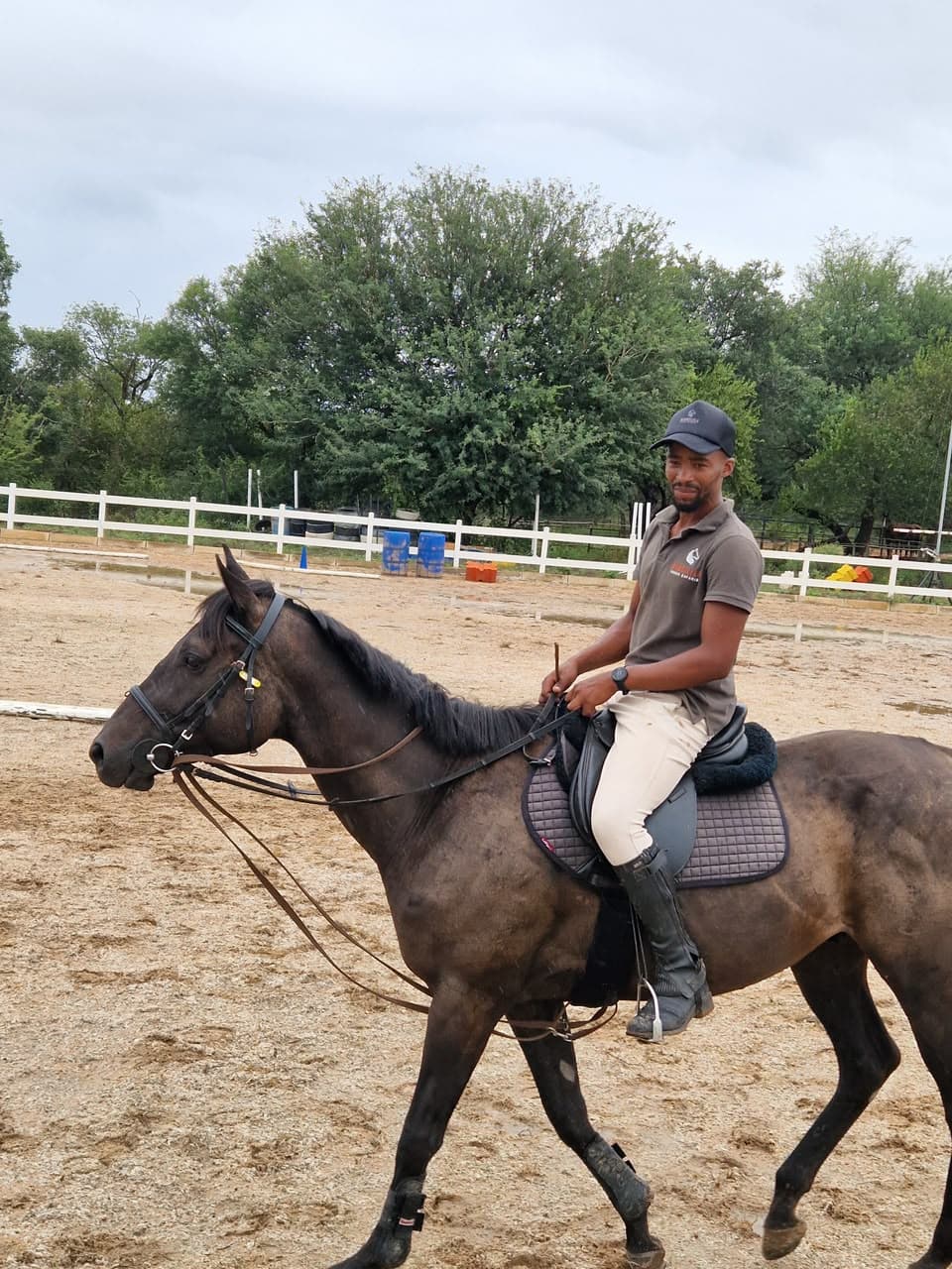 Bagheera, a Bambelela horse