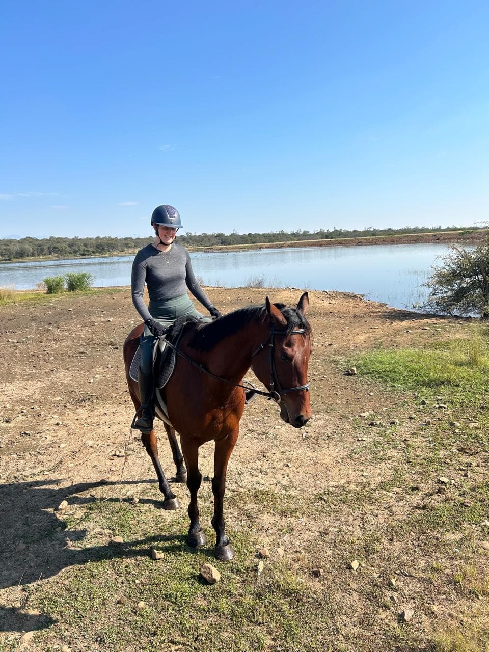 Future, a Bambelela horse