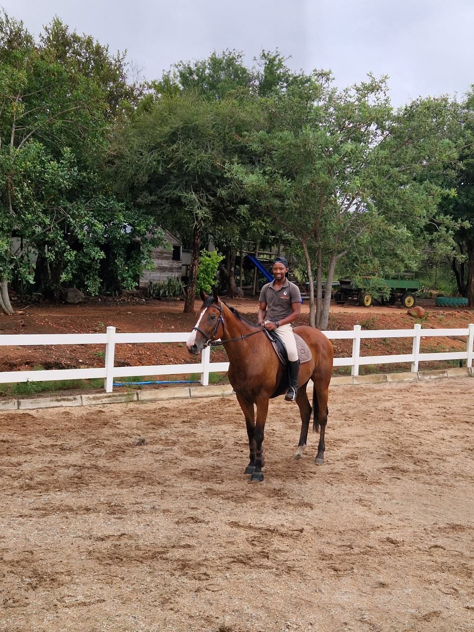 Troy, a Bambelela horse