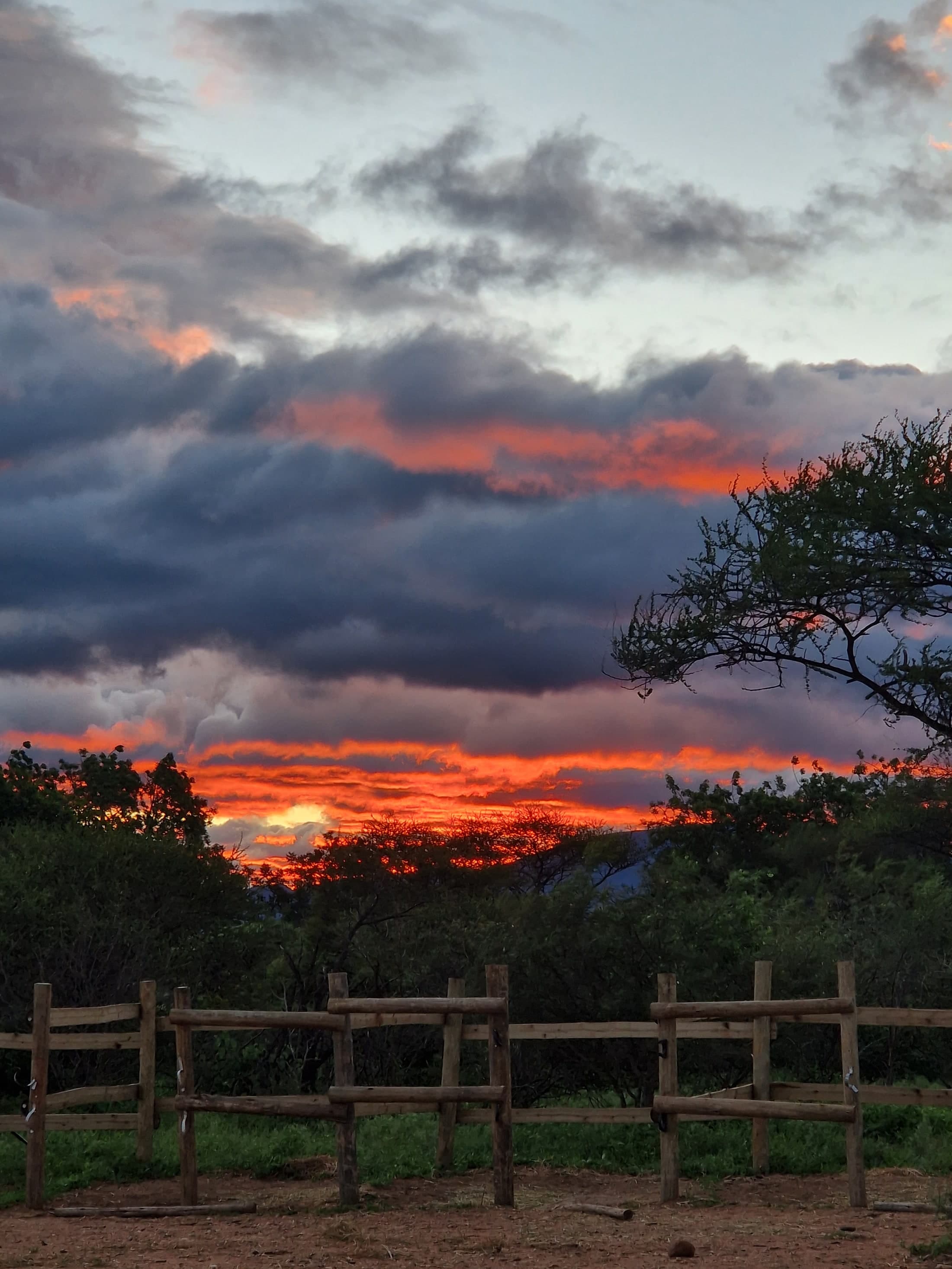 Storm Sunset