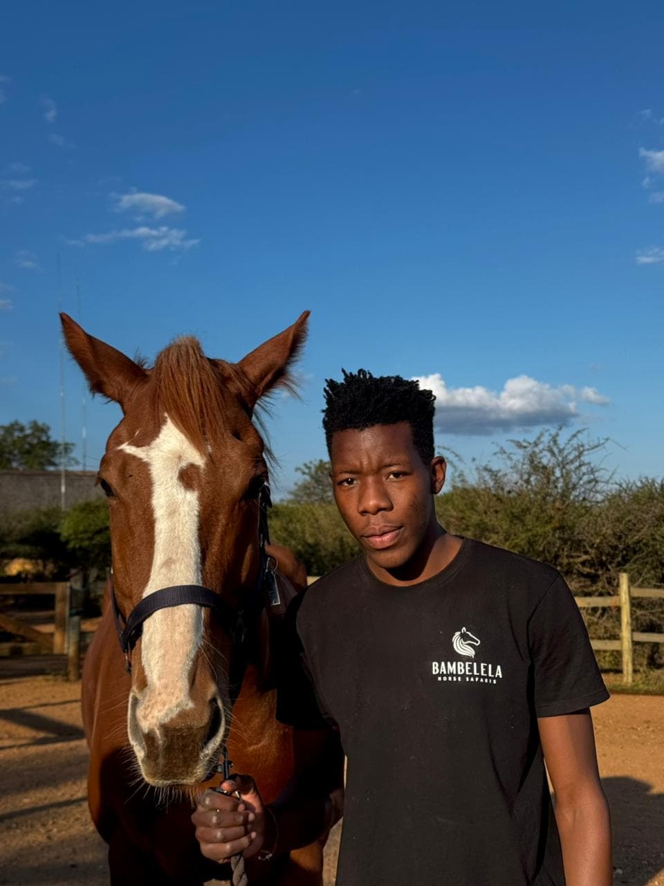 Trevor, Horse Care